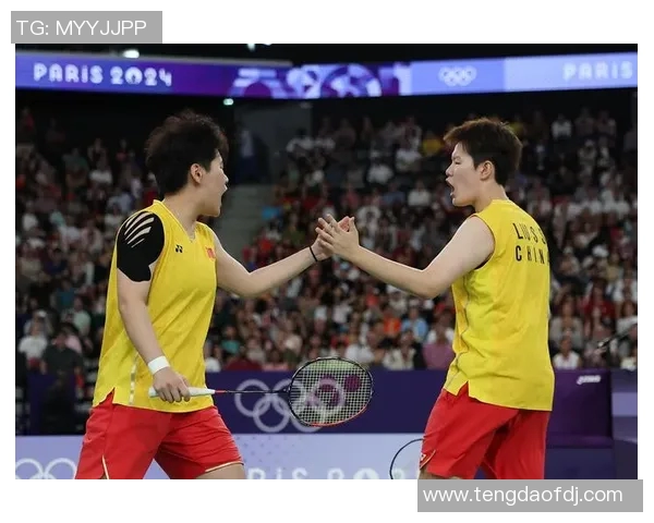 从零基础到高手之路羽毛球配合技巧全解析与实战演练 从零基础到高手之路羽毛球配合技巧全解析与实战演练