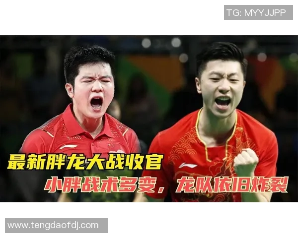 成都排球队与南京排球队对决后的深度分析与战术探讨 成都排球队与南京排球队对决后的深度分析与战术探讨