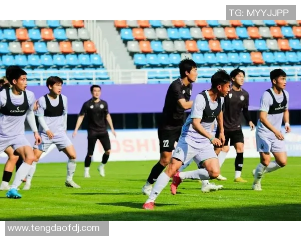 深入分析杭州足球队的防守反击战术及其在比赛中的应用效果 深入分析杭州足球队的防守反击战术及其在比赛中的应用效果