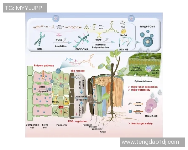 深圳极限运动队战术表现数据分析揭示团队优势与改进方向