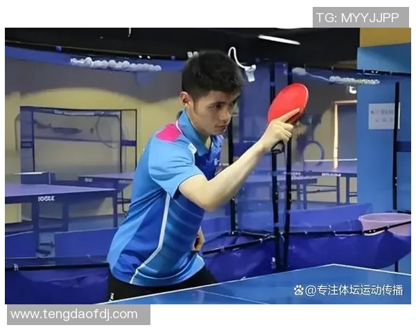 乒乓球技艺探秘：深入解析上海乒乓球队的快攻战术与训练秘诀