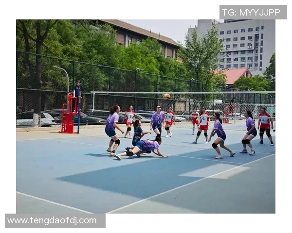 北京排球队速度变革引发热议新战术助力球队崛起与发展