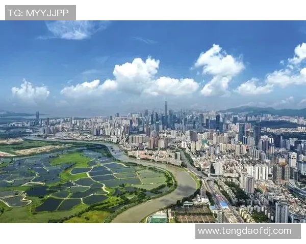 广州排球队灵活性创新高引发全国关注展现新风貌 广州排球队灵活性创新高引发全国关注展现新风貌