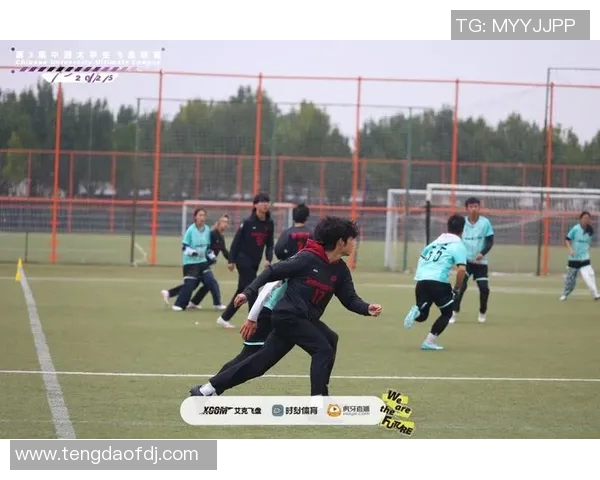 成都飞盘队在滑板精英赛中的灵活性表现与战术分析