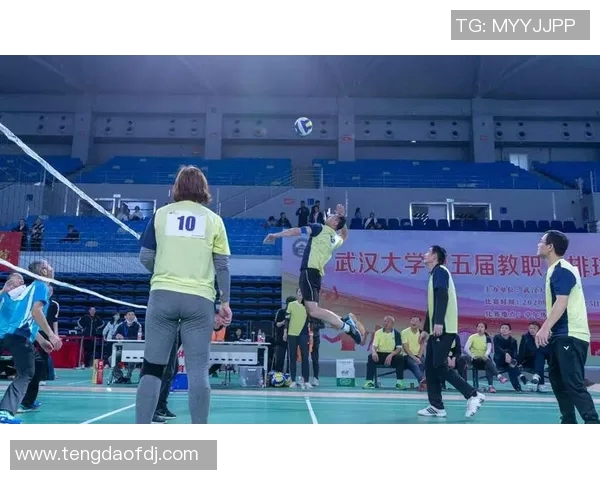 成都排球队的节奏分析与战术探讨如何提升比赛表现与团队协作能力