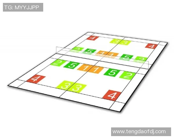 武汉羽毛球队的训练节奏与发展之路探秘