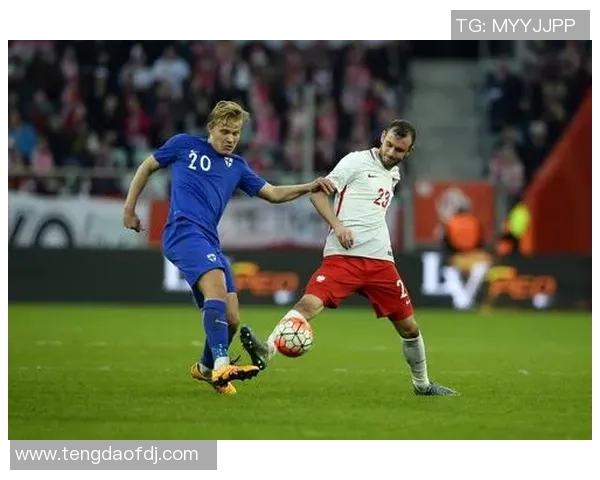 德国与芬兰在2000欧预赛中的激烈对决回顾与分析