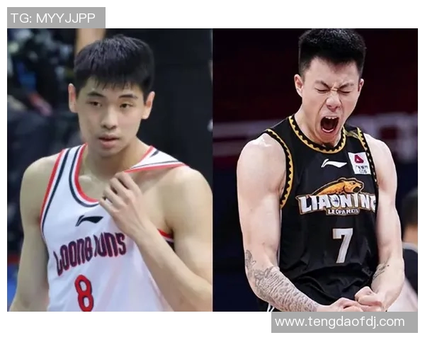 张镇麟：从年轻球员到篮球明星的成长之路与未来展望