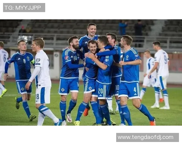 波黑与芬兰友谊赛精彩对决球迷期待两队展现最佳状态