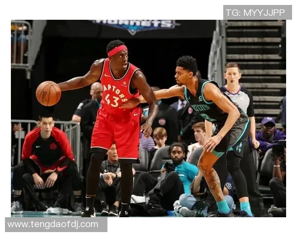 黄蜂与勇士激战CCTV5直播精彩瞬间回顾与赛后分析