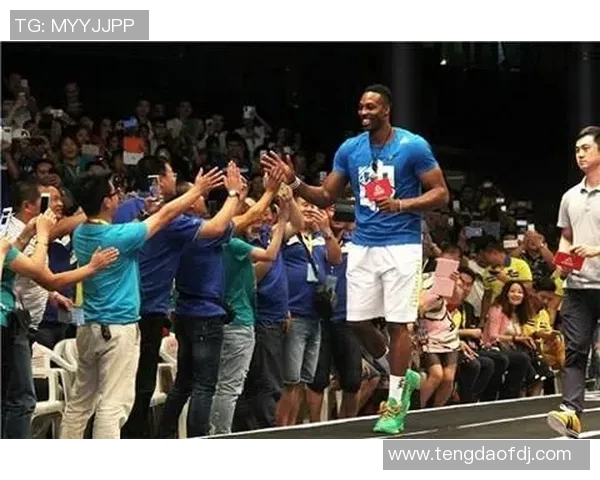 厄德高在国际足坛的崛起之路与未来发展潜力分析