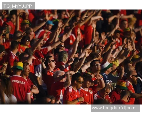 南部女王与邓迪联队的激烈对决展现足球魅力与团队精神