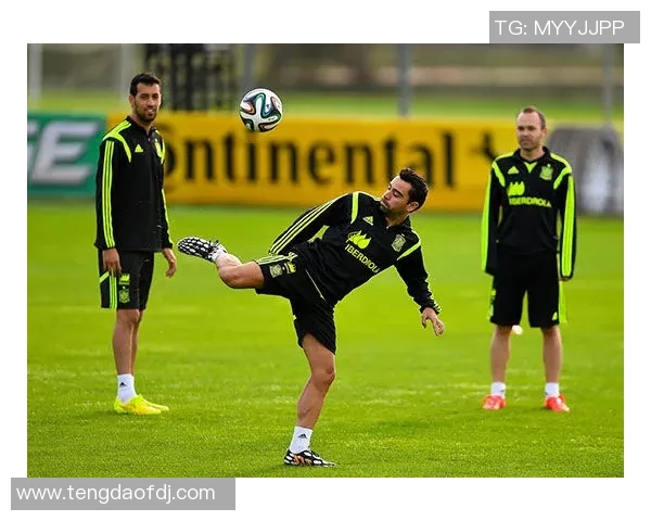 圣地亚哥与希金斯的精彩对决揭示足球战术与团队合作的完美结合