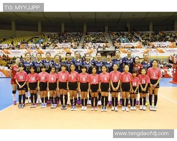 成都排球队与上海排球队赛后战术分析与复盘探讨