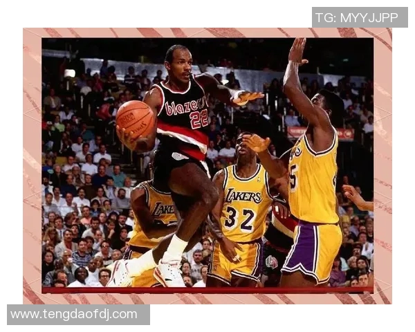 篮球明星金书的传奇故事与成长之路揭秘