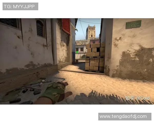 EDG在CSGO比赛中的区域防守策略分析与成效评估