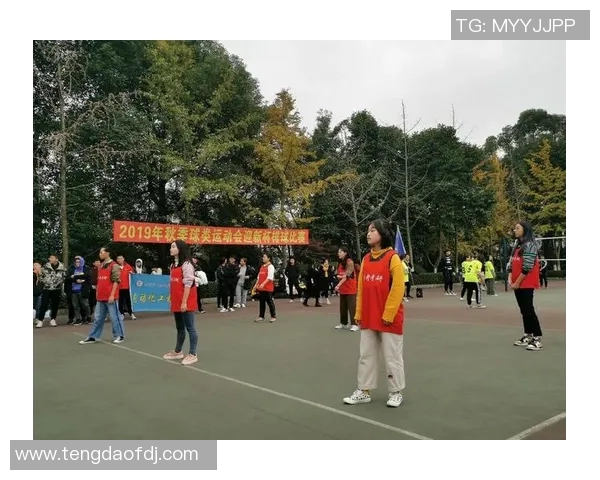 排球盛宴：深入解析西安排球队的战术意识与团队协作